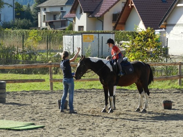 Babie Lato 2015